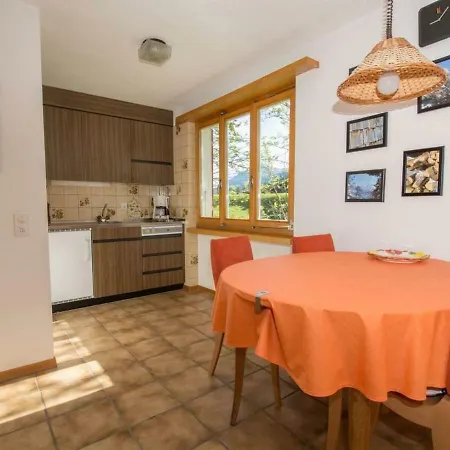 Apartmán Falki Adelboden